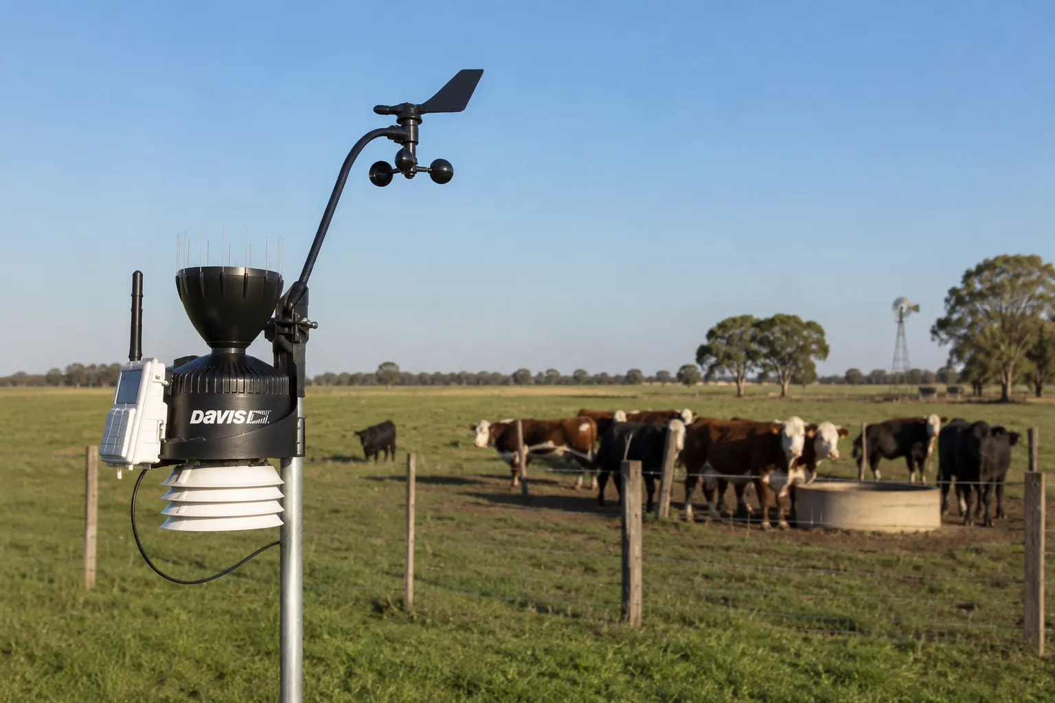 Ganadería con monitoreo de condiciones meteorológicas